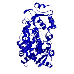 Image of CATH 5vce