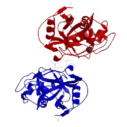 Image of CATH 5vcn