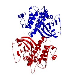 Image of CATH 5vcw