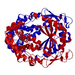 Image of CATH 5vdo