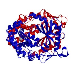 Image of CATH 5vdr