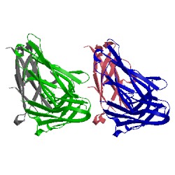 Image of CATH 5veb