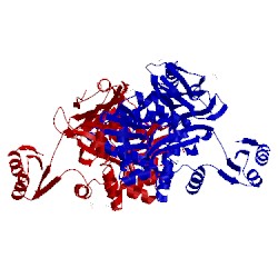 Image of CATH 5vev