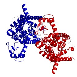 Image of CATH 5vew