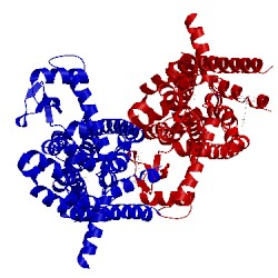 Image of CATH 5vex