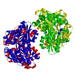 Image of CATH 5vm5