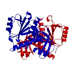Image of CATH 5vm8