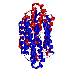 Image of CATH 5vn9