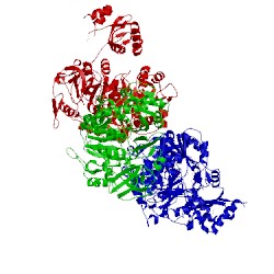 Image of CATH 5vpv