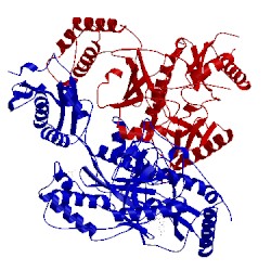 Image of CATH 5vqr