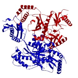 Image of CATH 5vqw