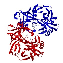 Image of CATH 5vrp