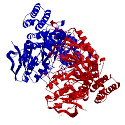 Image of CATH 5vsj