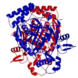 Image of CATH 5vv5