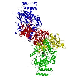 Image of CATH 5vvd