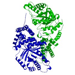 Image of CATH 5vvt