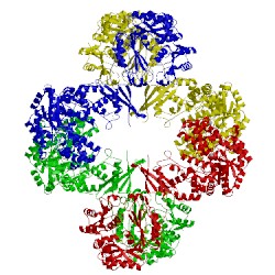 Image of CATH 5vyw