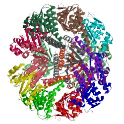 Image of CATH 5vz2