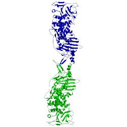 Image of CATH 5w0k
