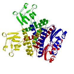 Image of CATH 5w10