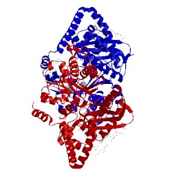 Image of CATH 5w2a