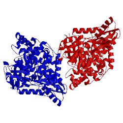 Image of CATH 5w2e