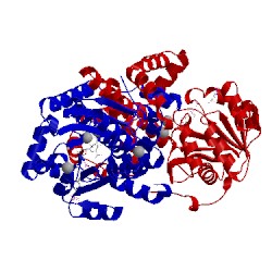 Image of CATH 5w3k