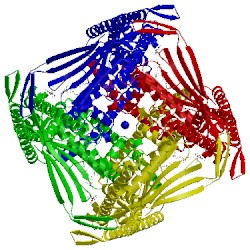 Image of CATH 5w3s