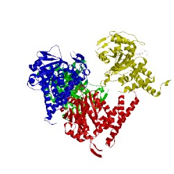 Image of CATH 5w3t