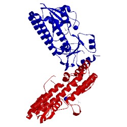Image of CATH 5w56