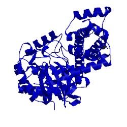 Image of CATH 5w80