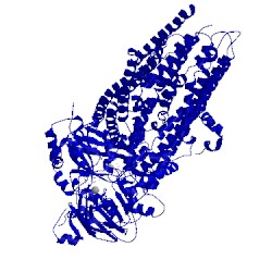 Image of CATH 5w81