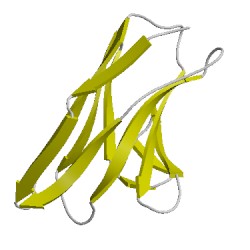 Image of CATH 5w9hF