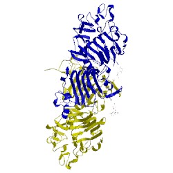 Image of CATH 5wb8