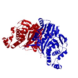 Image of CATH 5wc6