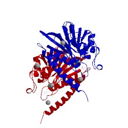 Image of CATH 5wcm