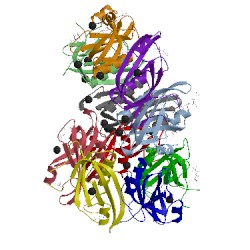 Image of CATH 5whv