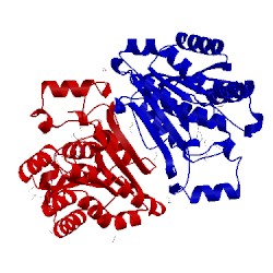 Image of CATH 5wjs