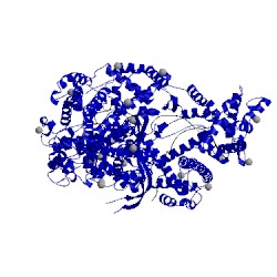 Image of CATH 5wlh