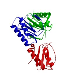 Image of CATH 5wof