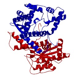 Image of CATH 5wp0