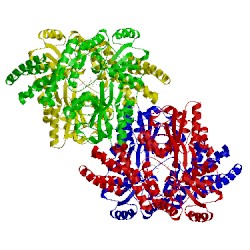 Image of CATH 5wq6