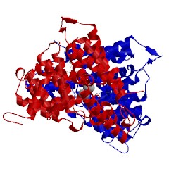 Image of CATH 5wqa