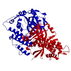 Image of CATH 5ws0