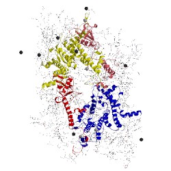 Image of CATH 5ws5