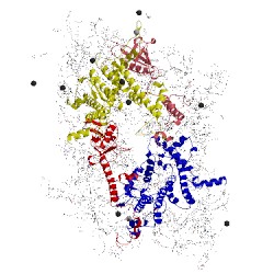 Image of CATH 5ws6