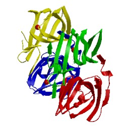 Image of CATH 5wsf