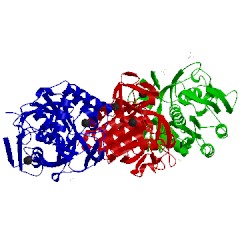 Image of CATH 5wsl