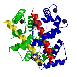 Image of CATH 5wsv