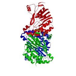 Image of CATH 5wz2